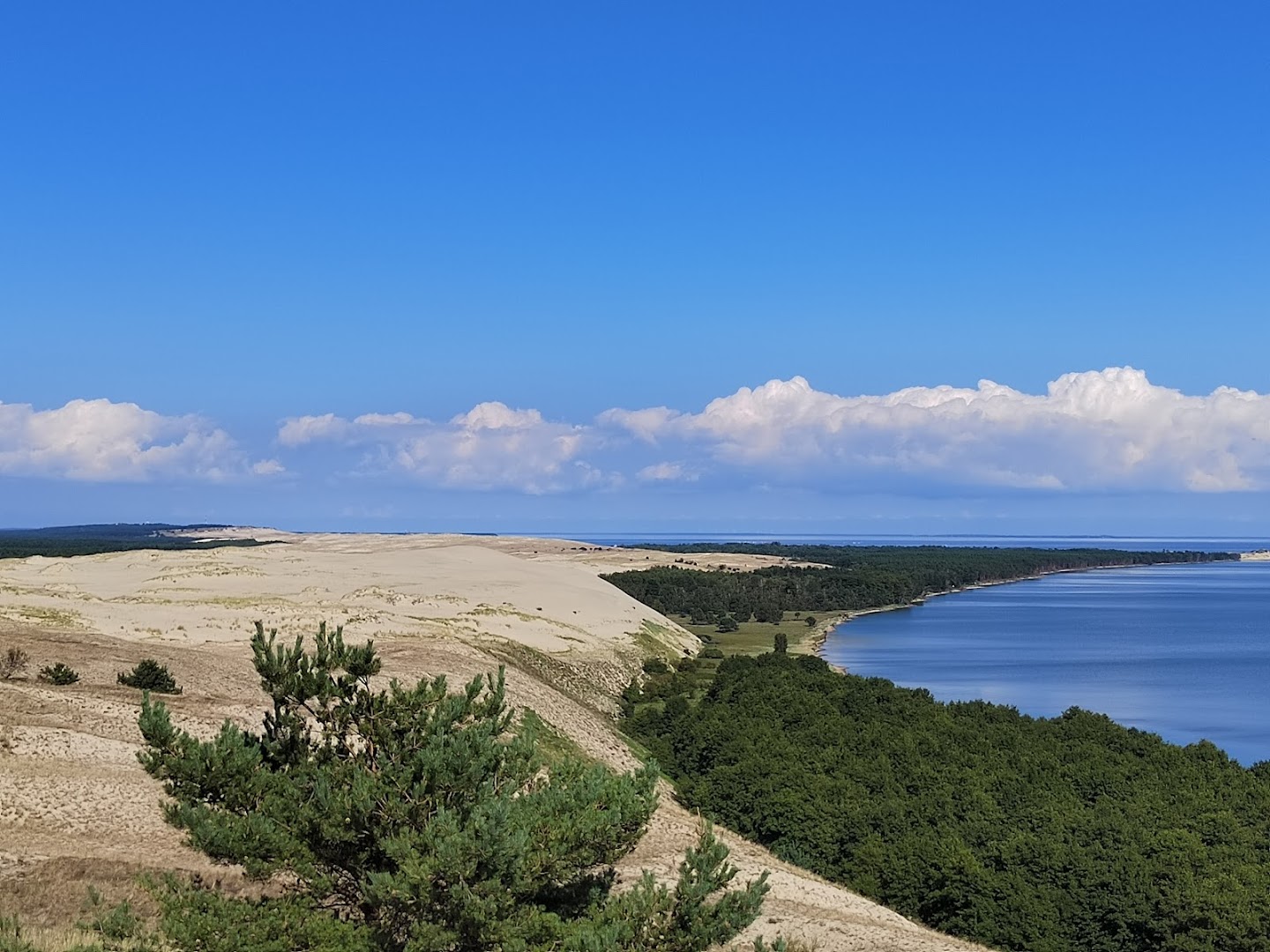 Curonian Spit (national park), Venue, Kaliningrad