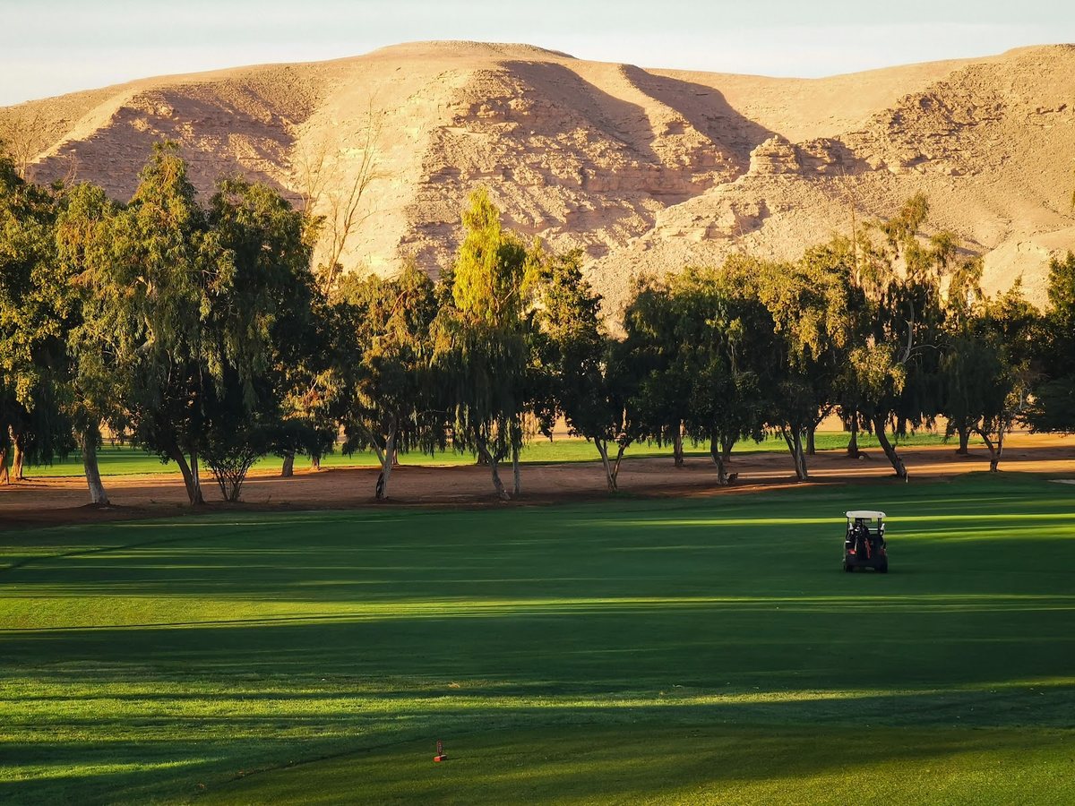 Dirab Golf & Country Club, Площадка, Эр-Рияд