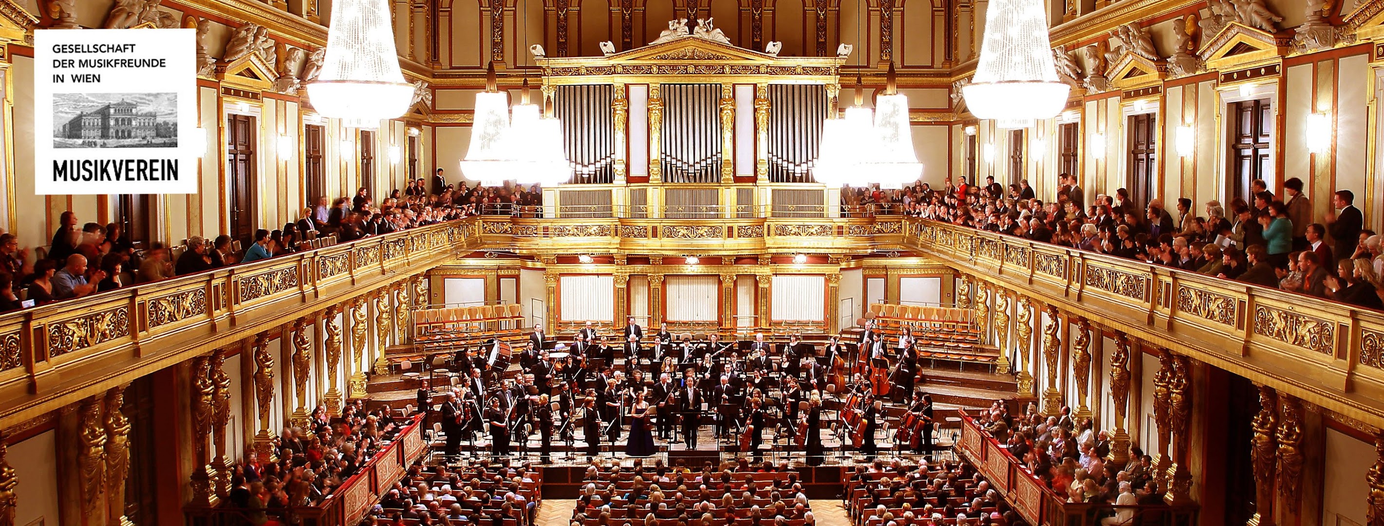 Wiener Musikverein, Venue, Vienna